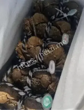 大闸蟹捆绳增重猫腻