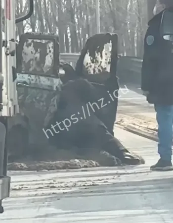 山东济宁老头乐